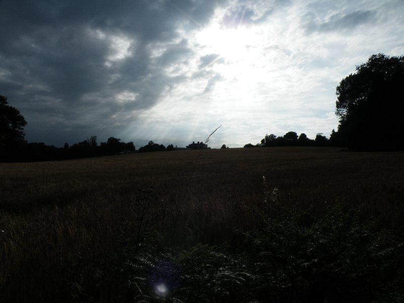 DSCF5014.JPG