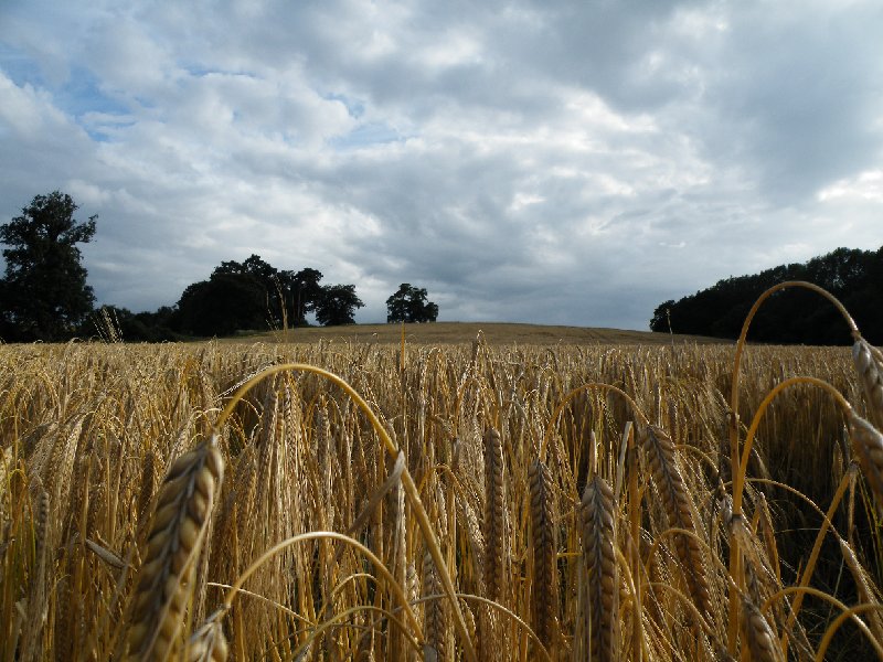 DSCF5019.JPG
