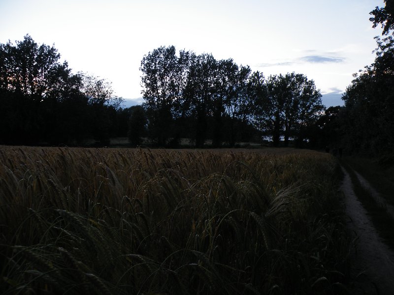DSCF5045.JPG