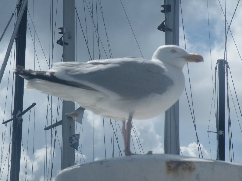DSCF5169.JPG