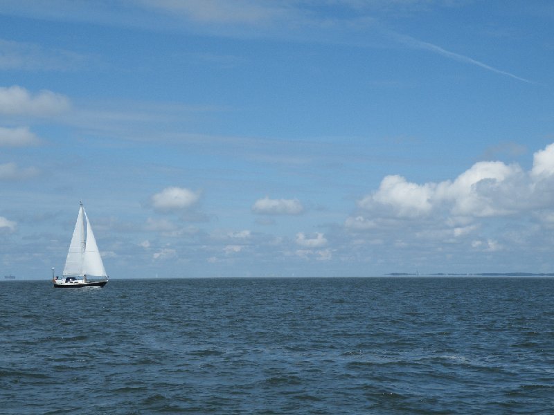 DSCF5194.JPG