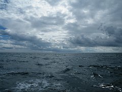 DSCF4982