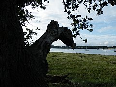 DSCF5009