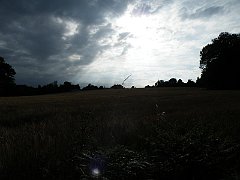 DSCF5014
