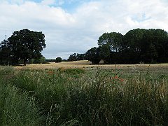 DSCF5016