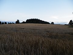 DSCF5046