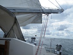 DSCF5142
