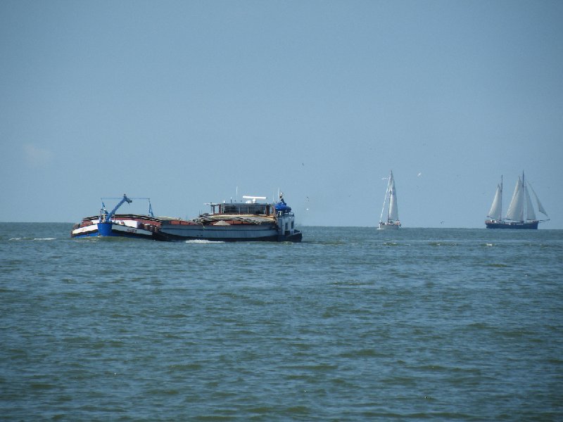 DSCF5239.JPG - Tuf Tuf Tuf