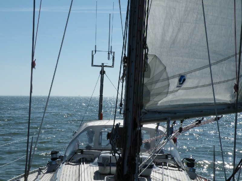 DSCF5276.JPG - Zo hoort het te zijn