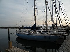 DSCF5243