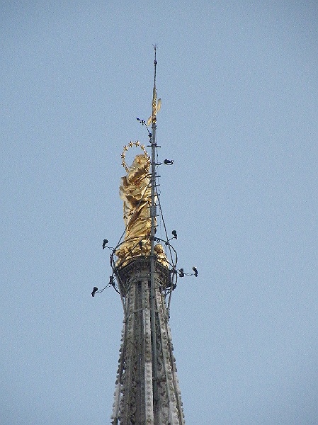 DSCF7359.JPG