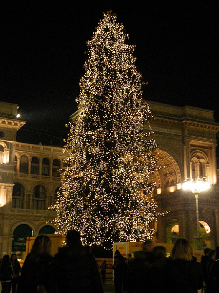 DSCF7413.JPG