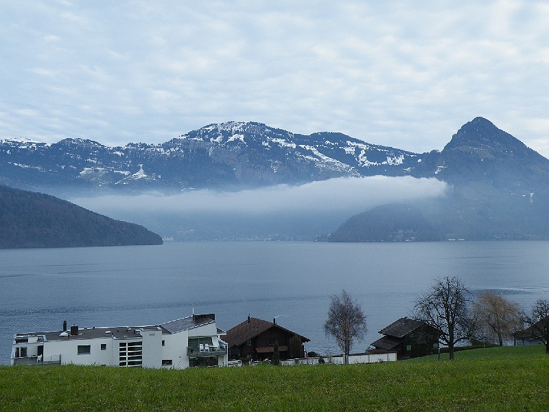 DSCF7436.JPG
