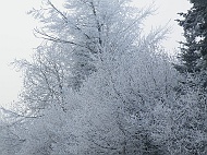 DSCF7315