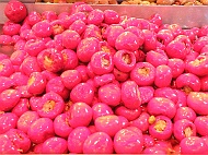 DSCF7353