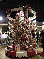 DSCF7356