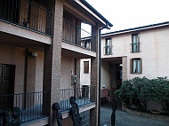 DSCF7398