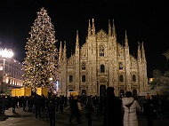 DSCF7411