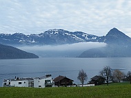 DSCF7436