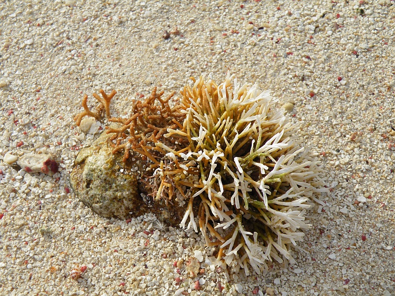 DSCF7566.JPG