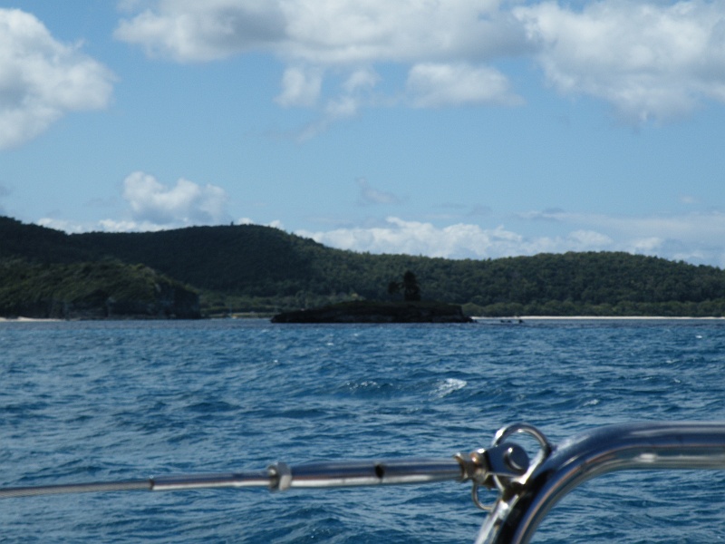 DSCF7799.JPG