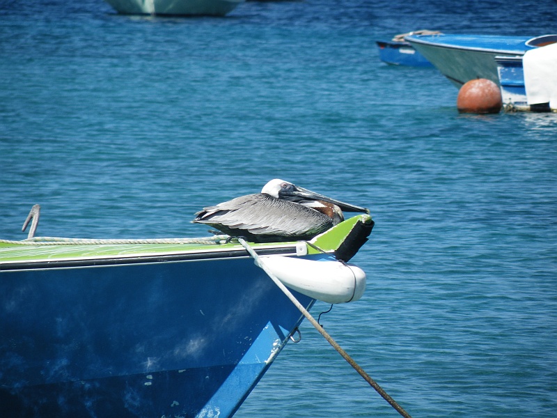 DSCF7875.JPG