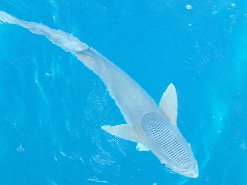 DSCF7989.JPG