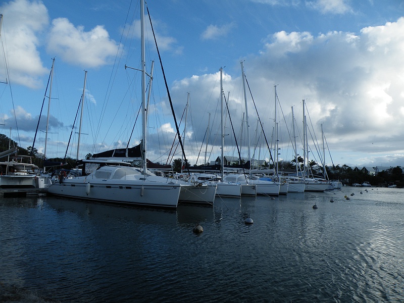 DSCF8083.JPG