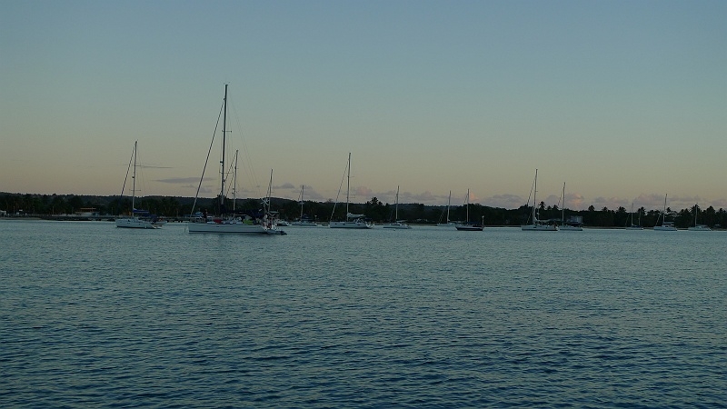 P1100485.JPG