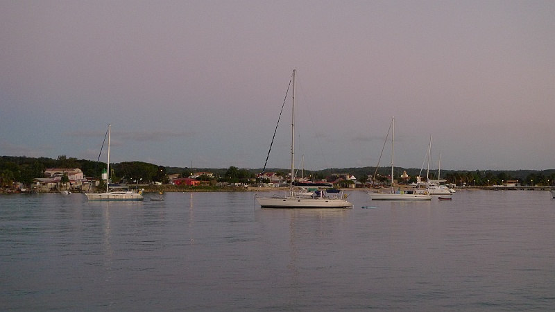 P1100497.JPG