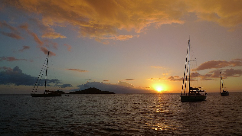 P1100590.JPG