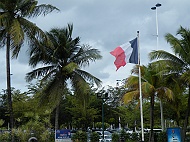 DSCF7522