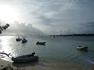 DSCF7553