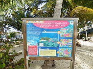 DSCF7559