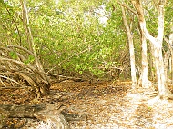 DSCF7568