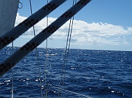 DSCF7633