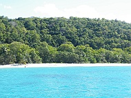 DSCF7636