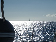 DSCF7648