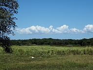 DSCF7691