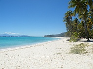 DSCF7727