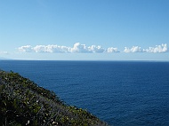 DSCF7750