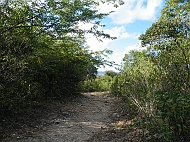 DSCF7760