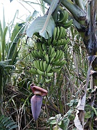 DSCF7763