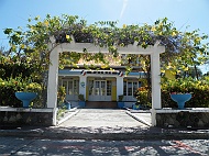 DSCF7869