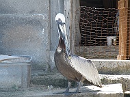 DSCF7895