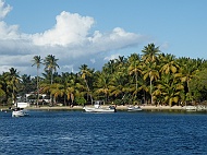 DSCF7926
