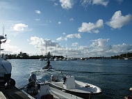 DSCF8081