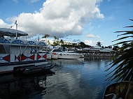 DSCF8085