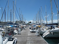 DSCF8120