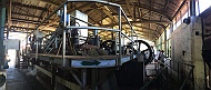 IMG_2359
